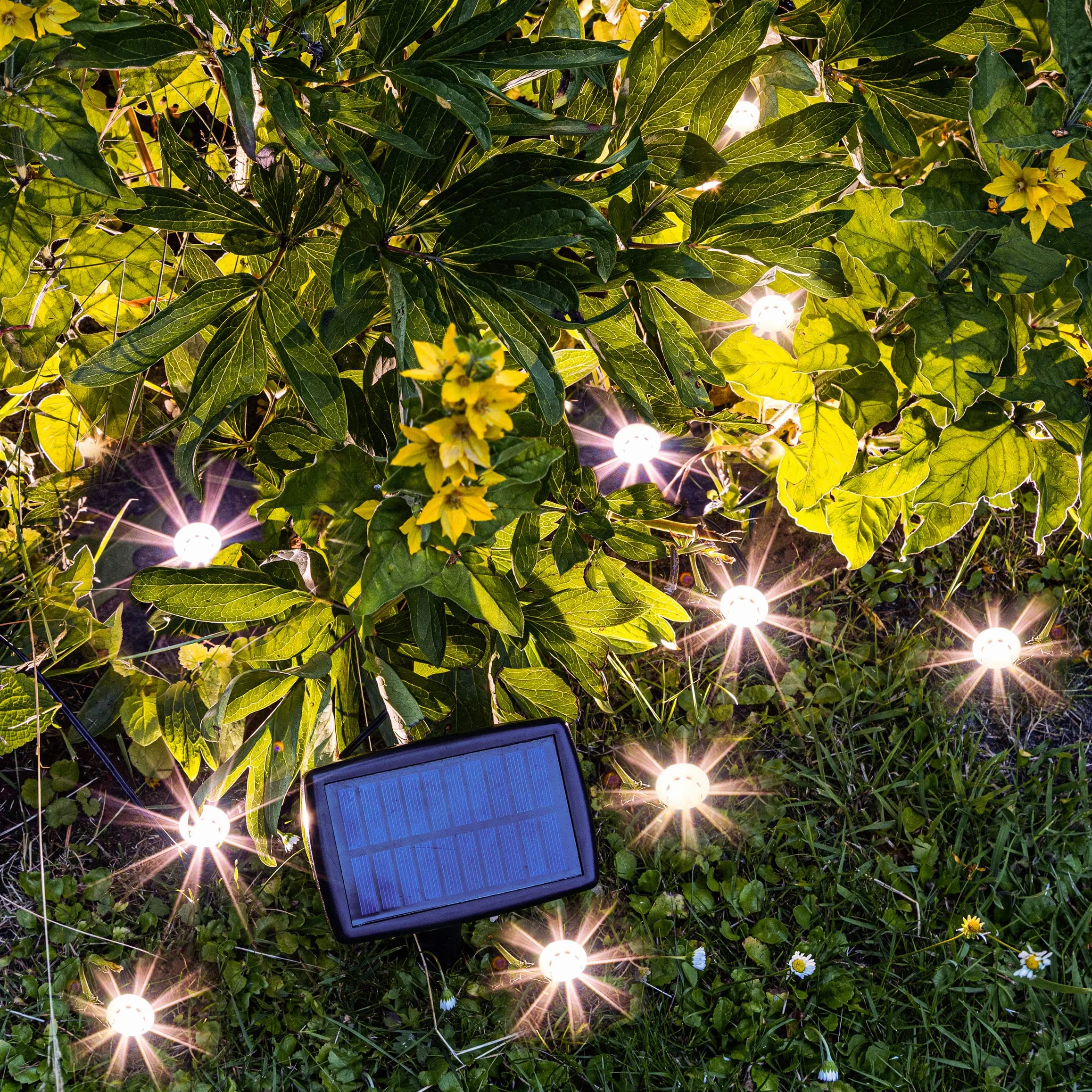 Spetebo Solarny Reflektor LED do Roślin, Zestaw 10 Sztuk, Mini Lampy Solarne z Ostrzem do Wbijania w Ziemię, Ogrodu, Balkon, Taras, Dekoracyjne Oświetlenie, Kwiaty, Ciepła Biel